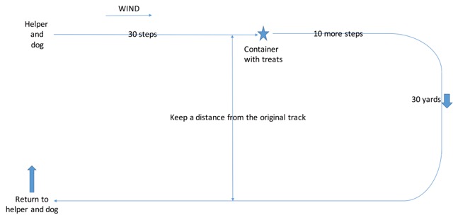 tracking diagram2