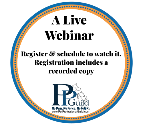 PPG webinar logo