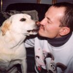 Yellow Lab licking a man's face