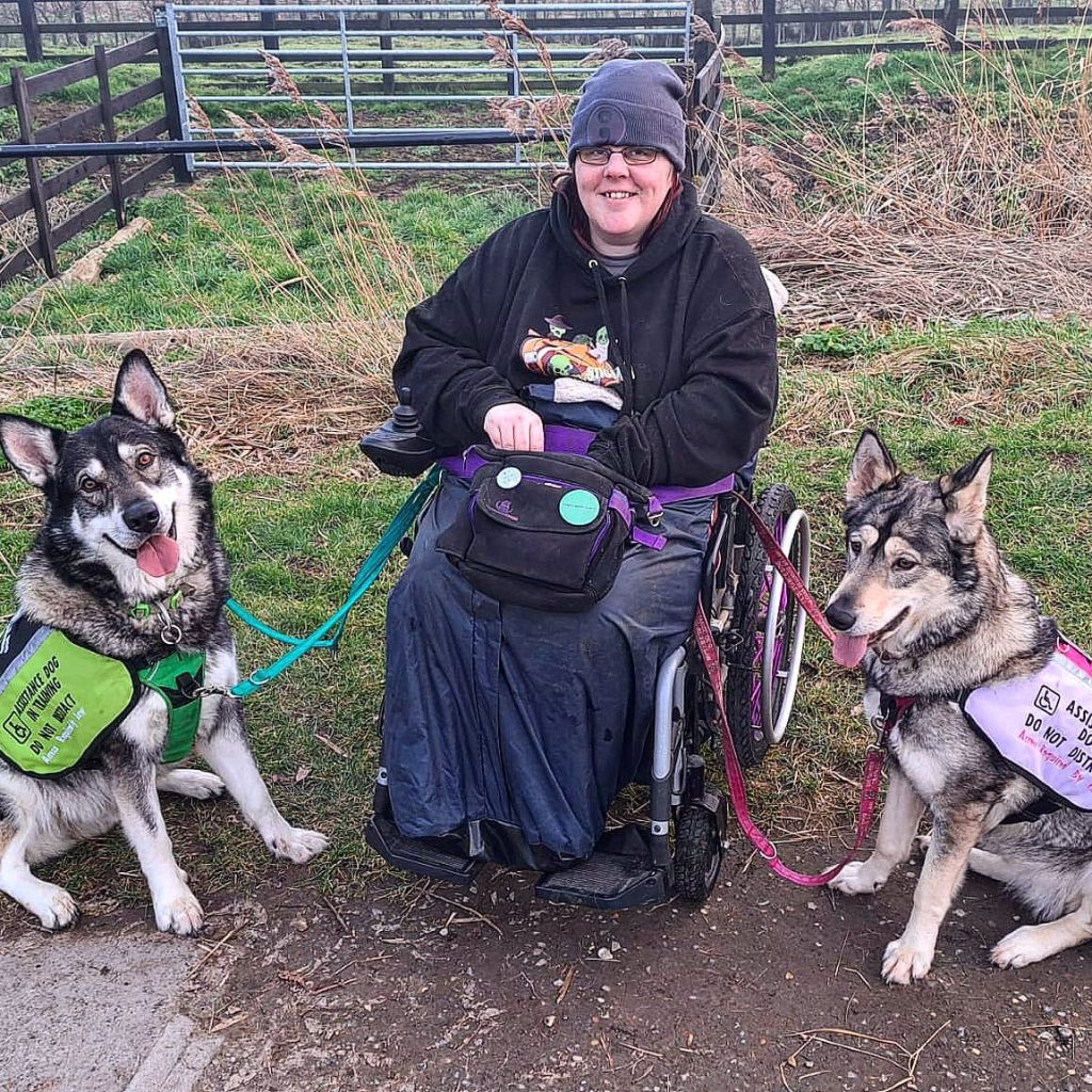 Person and two dogs.