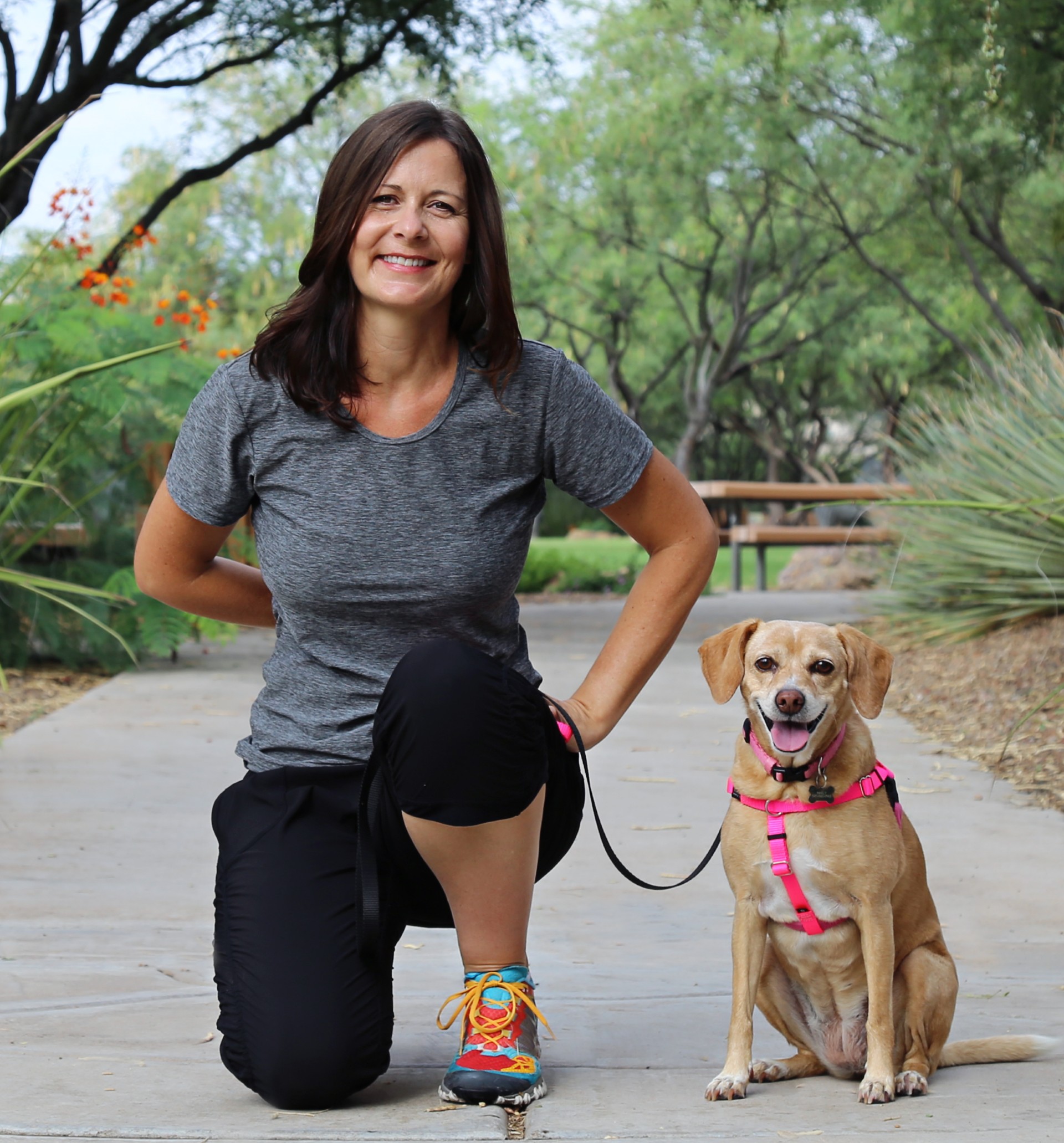 Benefits of Force-Free Dog Training - Pet Professional Guild