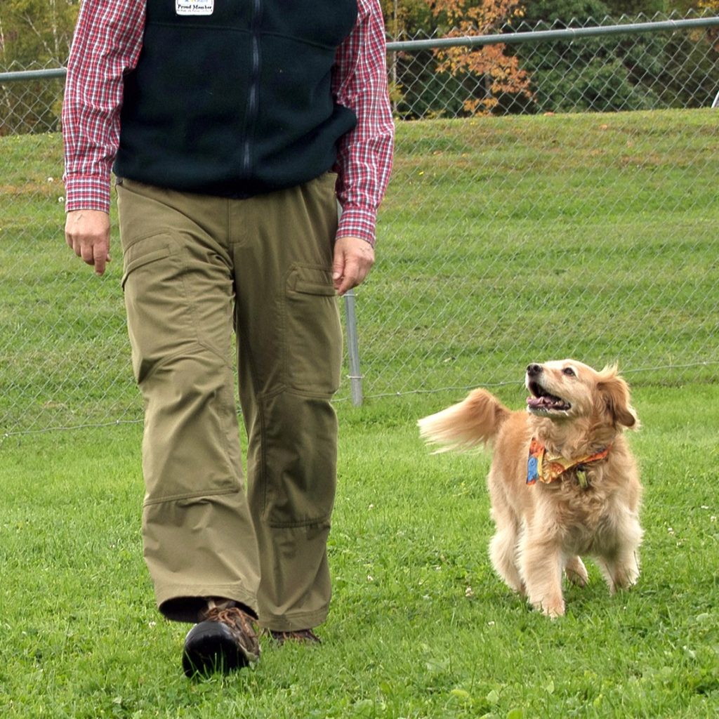 A man and dog walking together