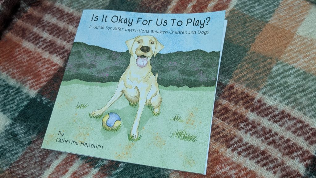 The book cover for Is It Okay For Us to Play
