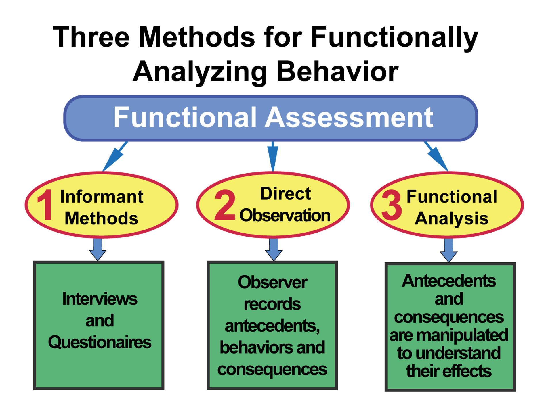 Are You Ready to Stop Guessing and Start Mastering Complex Behavior Cases? Join us for a Behavor Case Study - Reactivity to Dog and Human Encounters