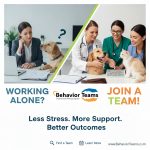 Behavior Teams: What, How & Why. Your Live Q&A Session. The  First Thursday of The Month