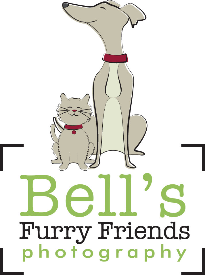 Debra Bell