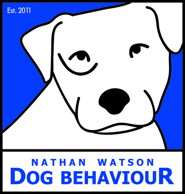 Nathan Watson