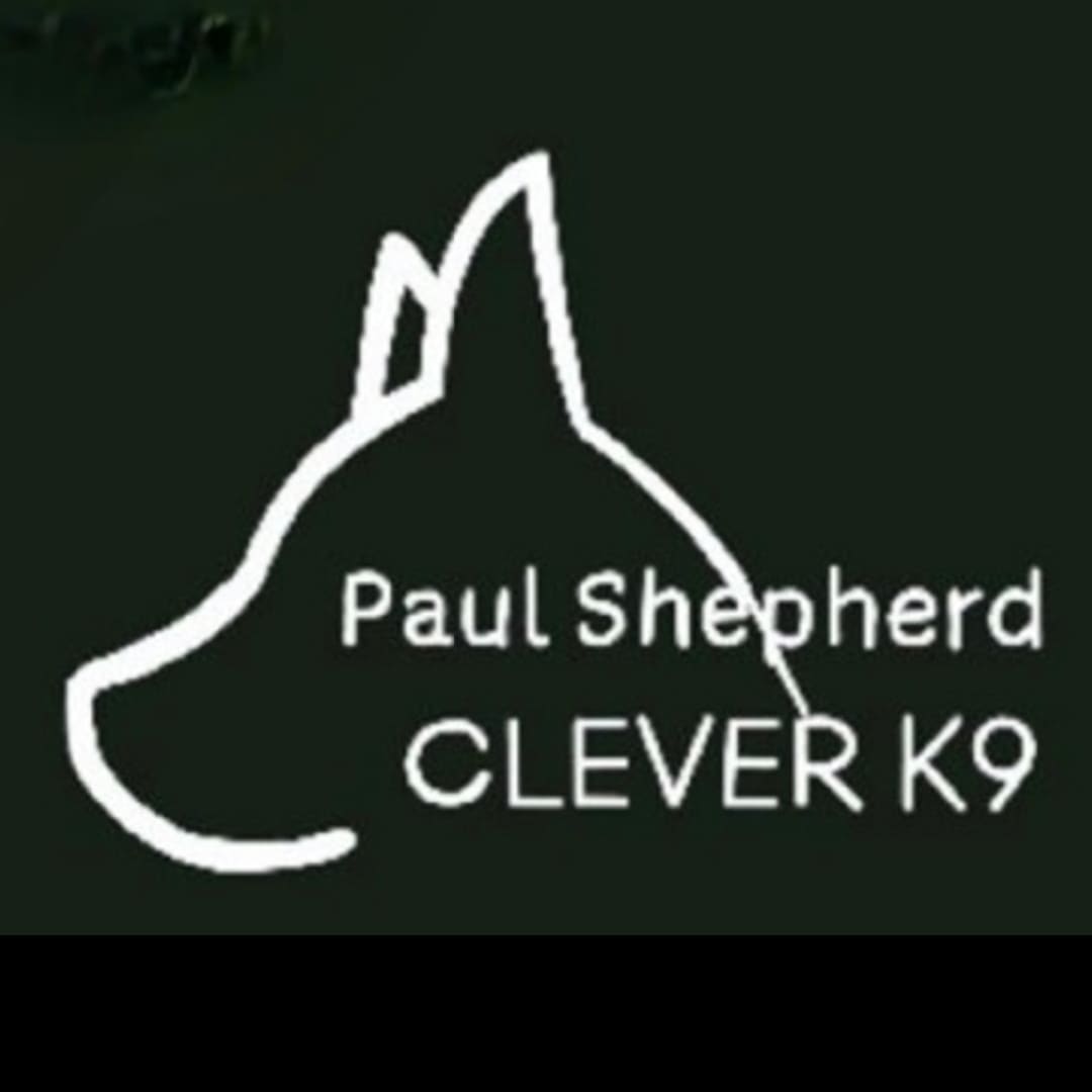 Paul Shepherd