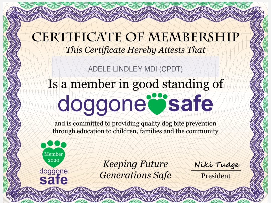 Doggone Safe Credential Badge