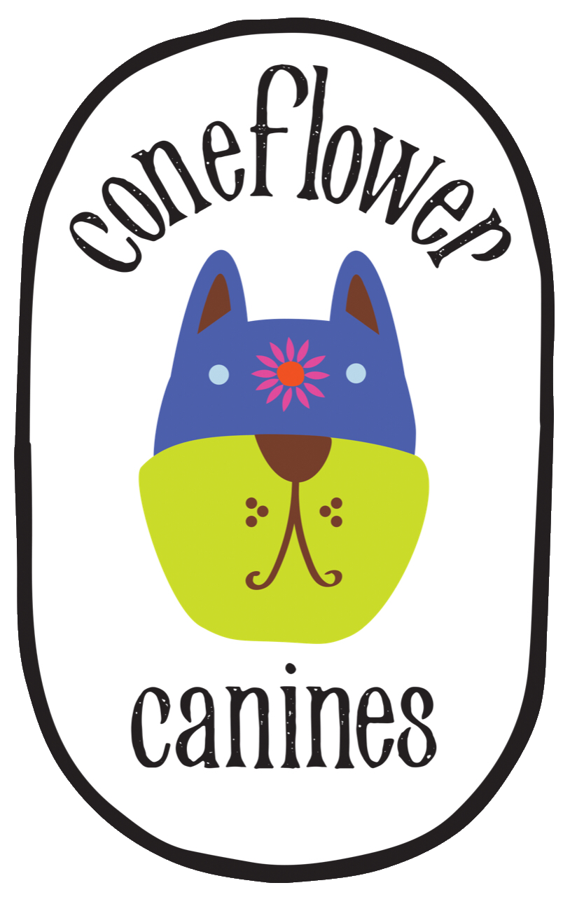 Em Willis