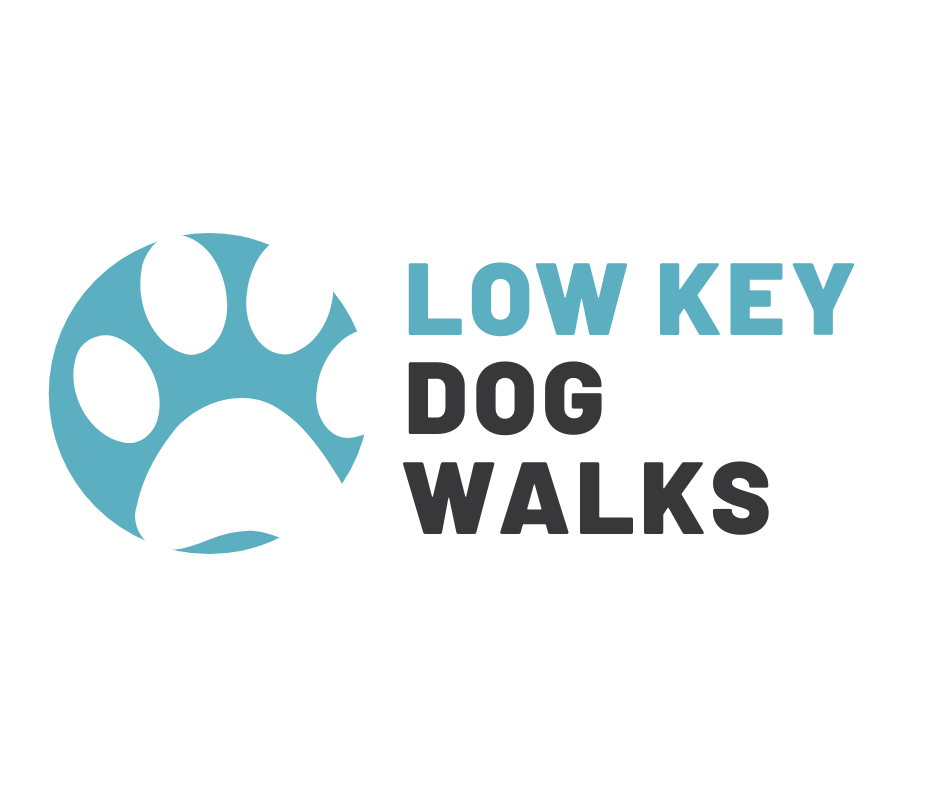 Rachelle Briscoe, Low Key Dog Walks